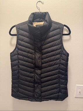 Talbots Satin-Lined Jacket in Champagne and Black